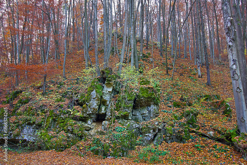 Autumn landscape a rock in an autumnal forest
