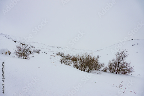 Wallpaper Mural Paesaggi con la neve in appennino a fine dicembre Torontodigital.ca