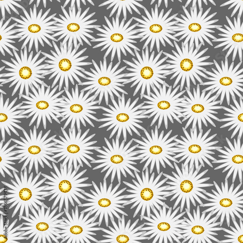 seamless pattern with camomiles