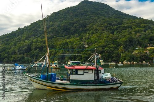 Fishing Boat near Tropical Forest Coast