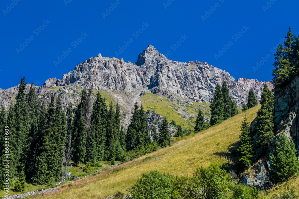 Naklejka premium Tuyuk Su Valley mountain landscape in Kazakhstan with snow capped peaks, rocky slopes, and glacial terrain near Almaty. High altitude environment showing Central Asian mountains, alpine geology, outdo