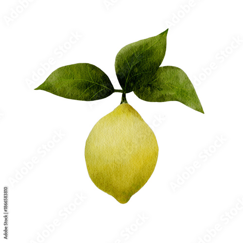 Fresh citrus yellow lemons on branches with green leaves. Lemon tree