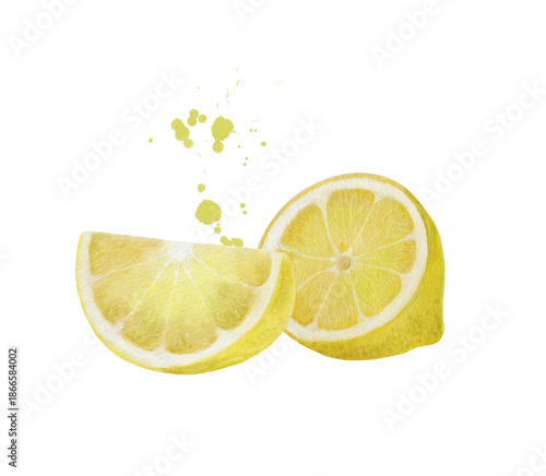 Yellow lemon in section. Illustration