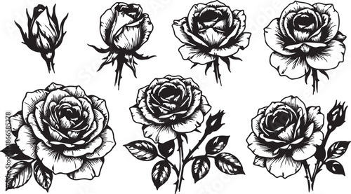A comprehensive assortment of beautiful rose flowers, buds, leaves, and stems depicted in monochrome outlines