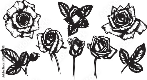 A detailed collection of rose buds, full blooming roses, and green leaves rendered in black and white