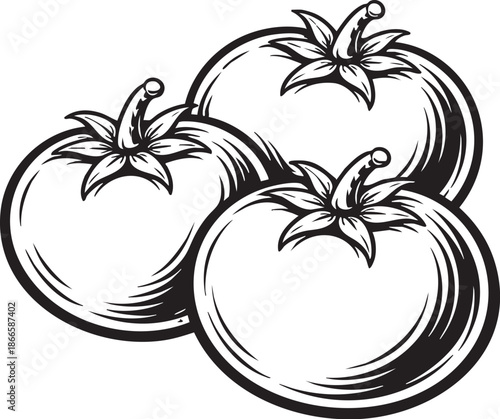 Three round tomatoes linocut etching illustration