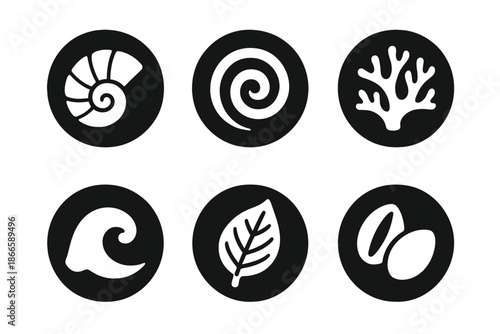 Natural Harmony Icons. Solid style round vector icons of natural harmony: shell, spiral, coral, wave, leaf vein, seed No text, No
