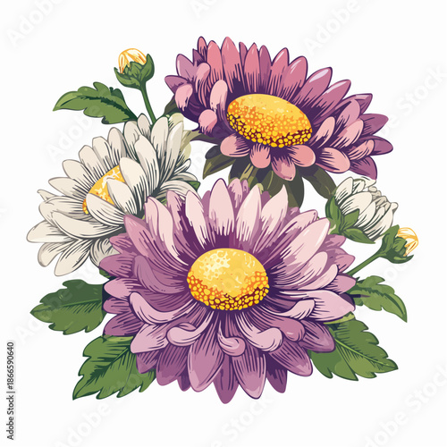 A Vintage Floral Arrangement With Pink White Asters And Green Leaves On A White Background