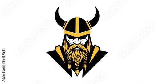 Viking warrior illustration bold graphic depicting historical figure
