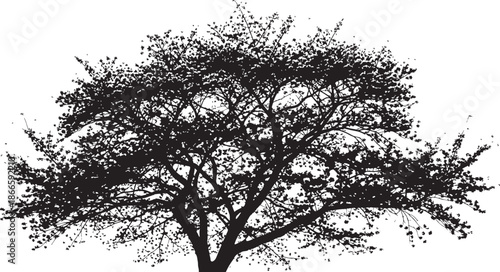 A detailed black tree with lush foliage depicted as a silhouette