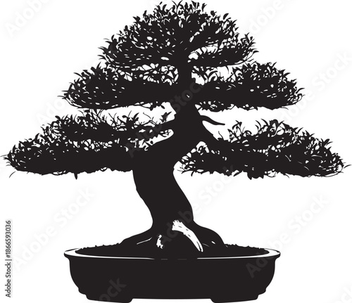Elegant bonsai tree in a pot detailed black form silhouette