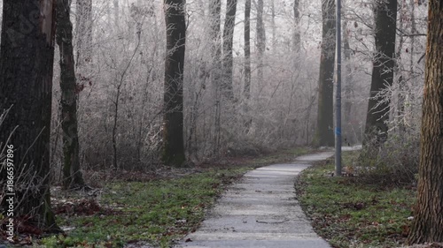 Narrow park path winding through frosted forest in snowfall, 4K