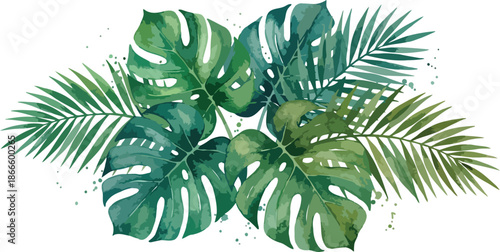 Tropical monstera and palm leaves forming beautiful vibrant green foliage arrangement