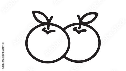 Simple illustration of two peaches with leaves on a white background
