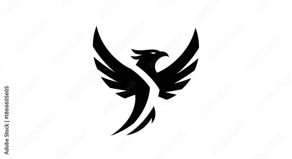 Obraz premium Adobe Illustrator Artwork