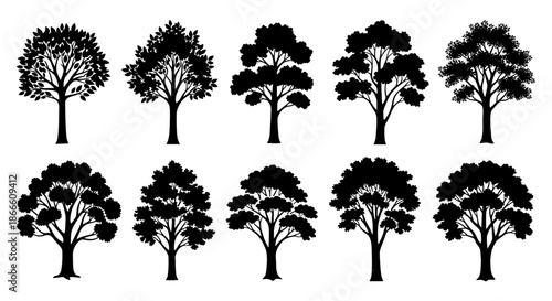 Collection of various tree silhouettes in different shapes and sizes for design