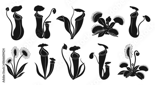 A collection of traditional floral and plant motifs with elegant designs.