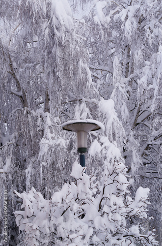 Street lamp under the snow