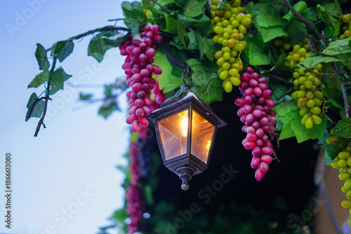 Charming Lantern Illuminated Among Grapevines