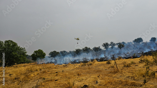 A small forest fire fighting helicopter flies over a burning area to determine its next water drop.