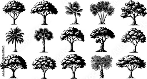 silhouette tree line drawing set, Side view, set of graphics trees elements outline symbol for architecture and landscape design drawing. Vector illustration in stroke fill in white. Tropical