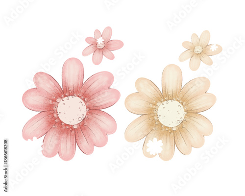 Delicate collection of hand-painted pink and beige daisy flowers with a soft, textured watercolor style.