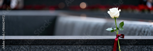 White rose with red ribbon on dark granite memorial. Single flower tribute with blurred water background. Holocaust remembrance day banner