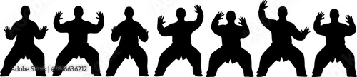 Tai chi chuan silhouettes martial arts poses.
