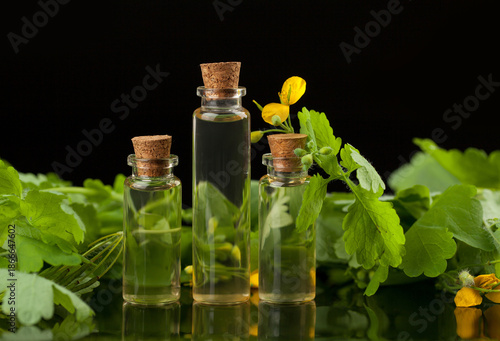 Essence of flowers on table in beautiful glass jar