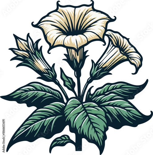 Cream Datura Trumpet Flowers with Buds Green Leaves Watercolor Line Art