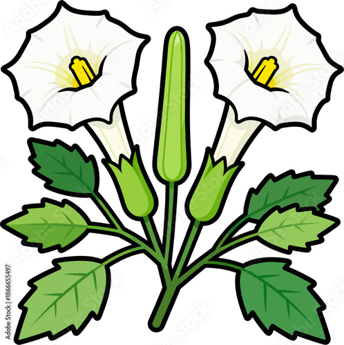 Flat Cartoon Datura Plant with White Trumpets Green Buds Serrated Leaves Vector