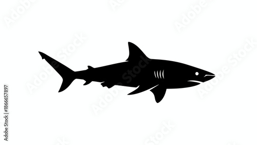 Powerful Great White Shark Silhouette Mascot for Professional Marine Branding
