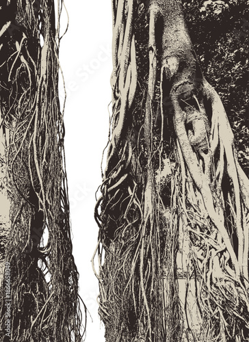 Vector texture with a realistic tree, banyan or ficus, with roots and branches and space for text in a gothic style. Scary, magical, fairytale like, and mystical. For Halloween party design.