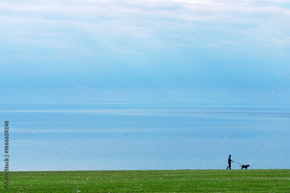 Fototapeta premium silhouette of man walking dog on grassy hill on shoreline of lake and calm water with large area for copy in blue and green