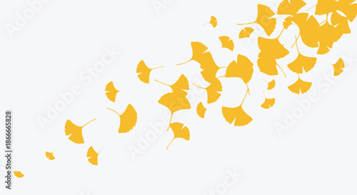 Golden yellow ginkgo biloba leaves scattered on a white background.