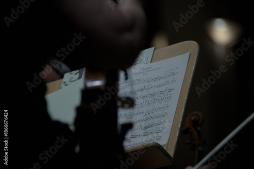 The Music Takes Shape: An Abstract Violinist