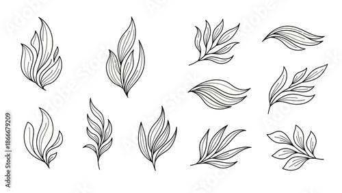 Collection of Hand Drawn Botanical Leaf Illustrations.