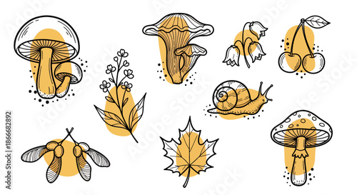 Hand drawn autumn nature elements including mushrooms, leaves, berries, and snail illustration.