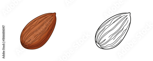 Whole almond kernel in cartoon and line art styles featuring rich brown tones representing healthy organic snack ingredients for culinary blogs or label design projects