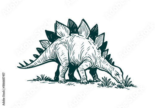 Stegosaurus hand drawn simple sketch vector illustration