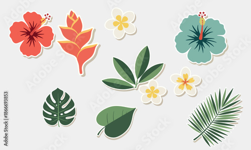 Island Breeze: Minimalist Tropical Botanical Graphics