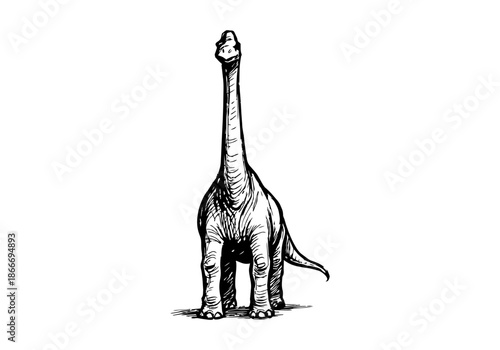 Brachiosaurus hand drawn simple sketch vector illustration
