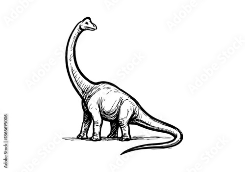 Brachiosaurus hand drawn simple sketch vector illustration