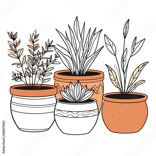 Arrangement of various potted houseplants, a decorative vector illustration for home decor