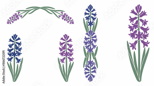 Colorful illustration of lavender flowers. Spring Vector Packs. EPS Editable
