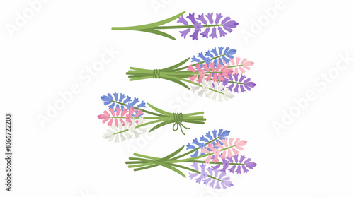 Colorful lavender flowers on white background. Spring Vector Packs. EPS Editable