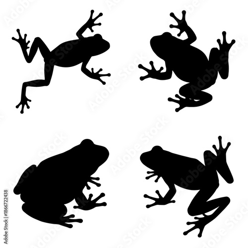 Silhouettes of four frogs in various poses. The minimalist design evokes a sense of nature and the amphibian's forms