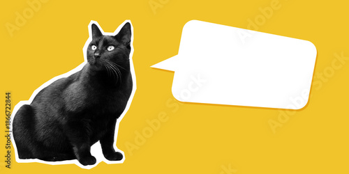 Smart black cat looking up on yellow background with text placeholder speech bubble