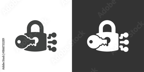 Data Encryption and Security Key icon. Solid glyph series icon