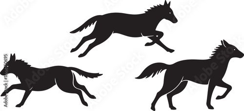 Silhouettes of Horses Running in Different Positions